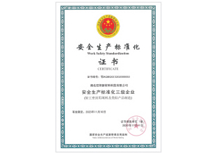國家安全生產(chǎn)標準化企業(yè)